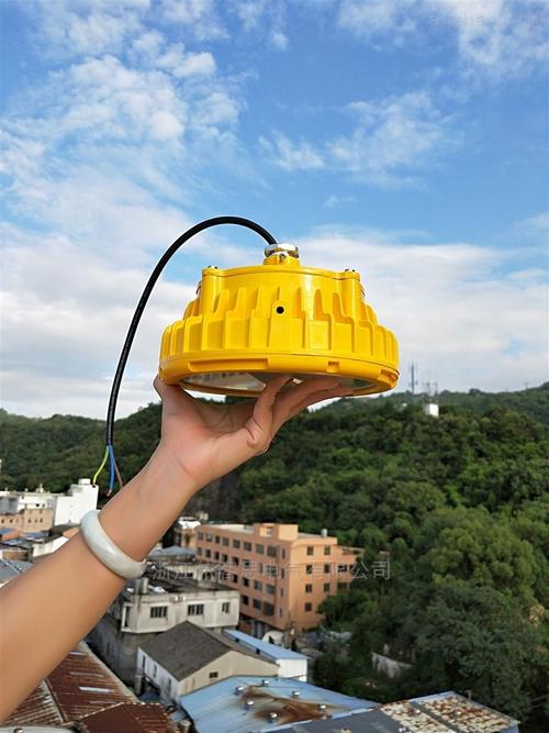 GL9081 LED防爆照明灯60W 安全与高效的工业照明革新方案